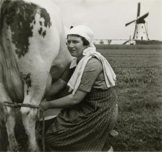 LLTB Melkende boerin