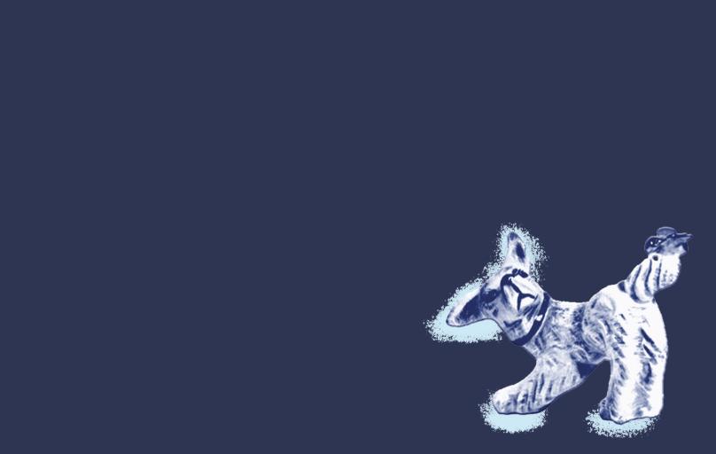 echt nep header