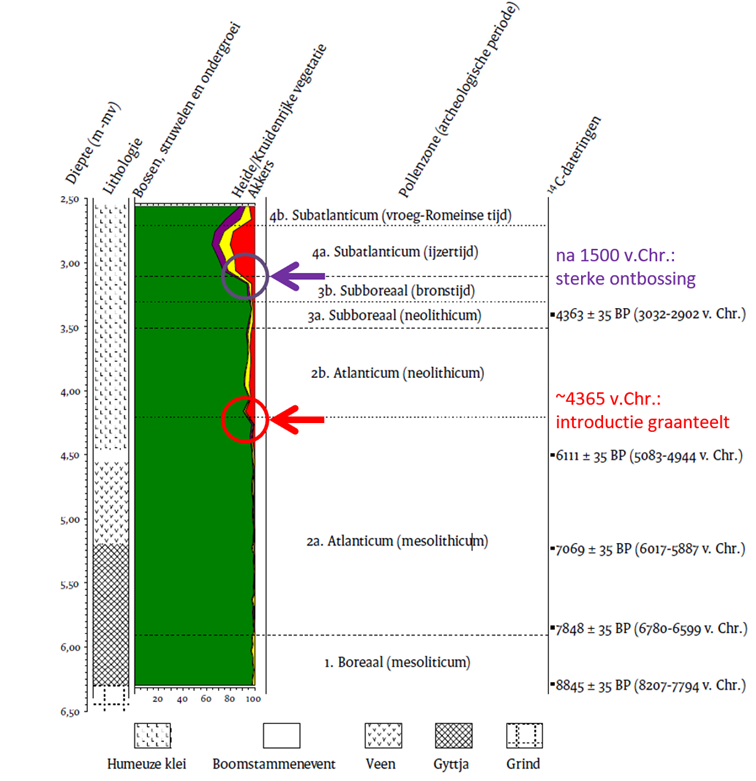 Diagram van holoceen, fossiel stuifmeel