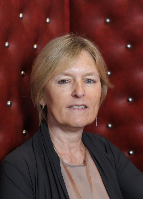 Prof. dr. Sophie Vanhoonacker