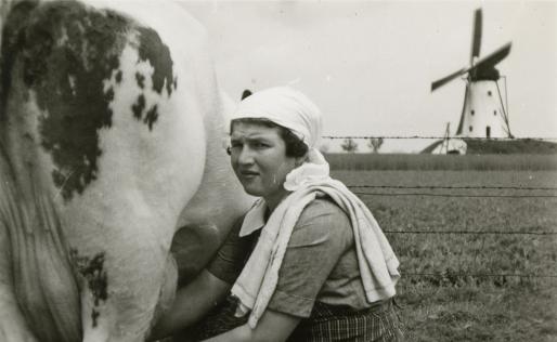 LLTB Melkende boerin
